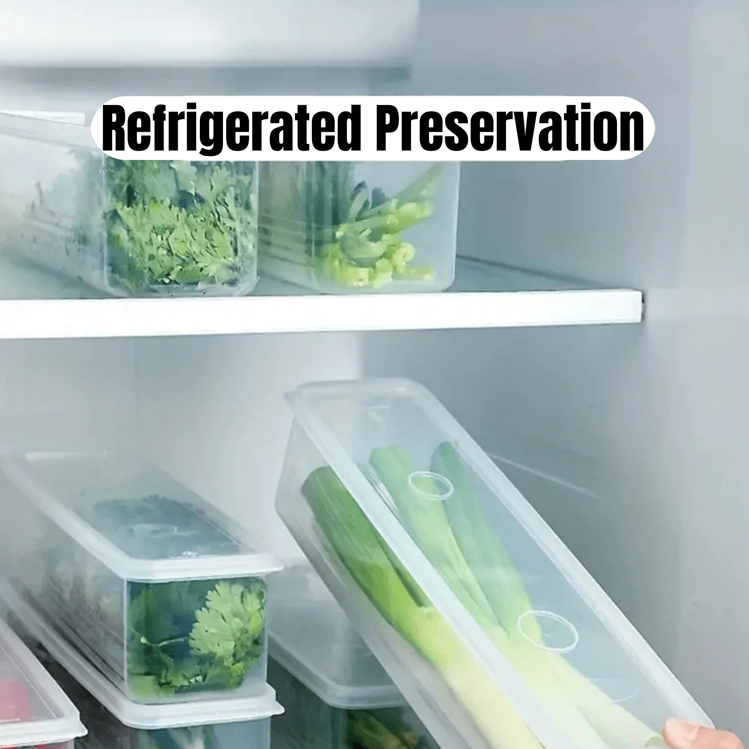 1/2/4Pcs Refrigerator Storage  - Commercial Kitchen Refrigerator บทวิจารณ์และราคา